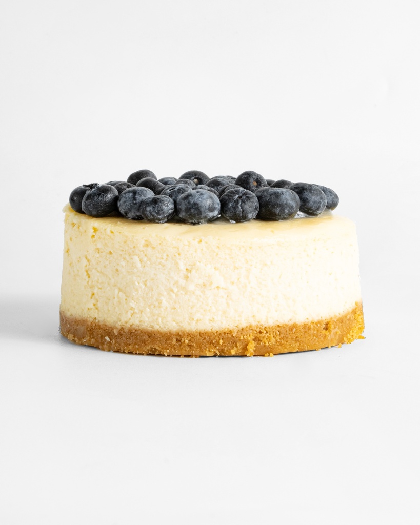PAY QUESO BLUEBERRIES INDIVIDUAL RE